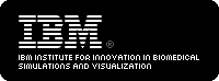 IBM Institute for Innovation in Biomedical Simulations and Visualization