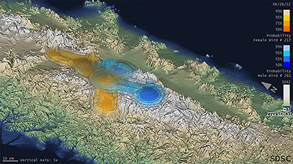 An image from a sequence of visualizations from analysis to identify home range in 3D of California Condors. The blue and orange colored surfaces show probabilities of male and female birds, respectively. Source: Amit Chourasia, Jeff Tracey, James Sheppard, Glen Lockwood, Mahidhar Tatineni, Robert N. Fisher, and Robert Sinkovits. Collaborative work between the San Diego Supercomputer Center, San Diego Zoo, and U.S. Geological Survey.