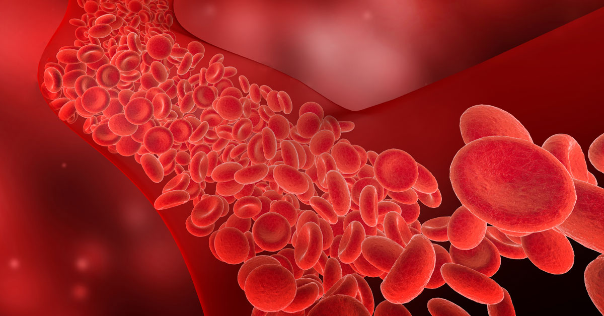 Red blood cells flowing through blood vessels.