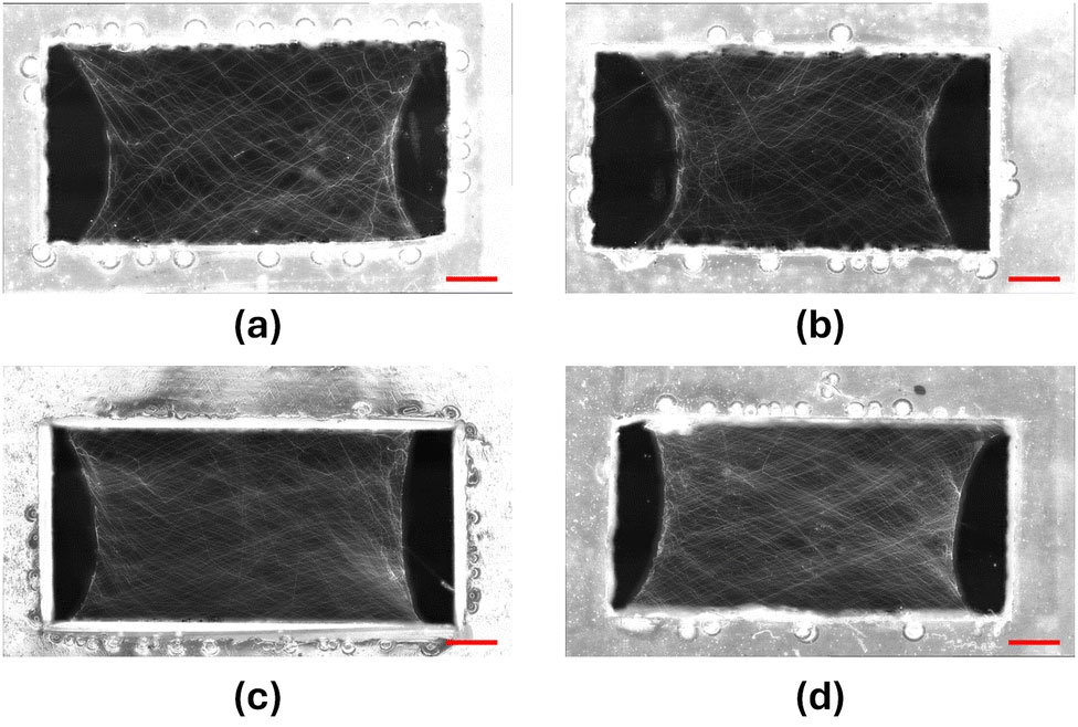 Four tiled images of printed nanofiber networks.