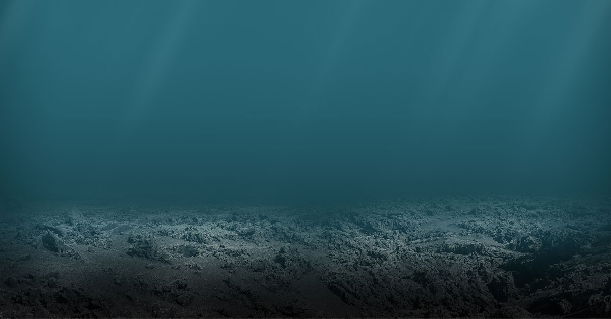 Rocky seabed devoid of life