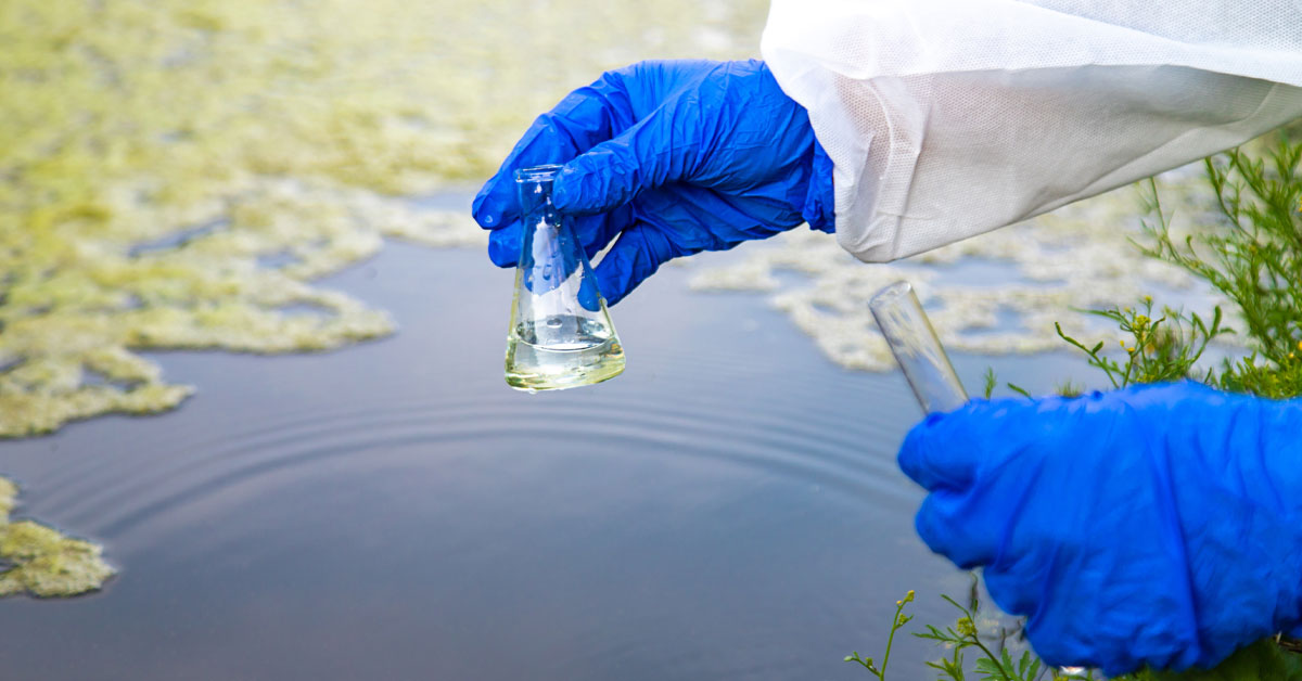 A gloved hand holds a small beaker above a body of water. Another gloved hand is holding a test tube. The water is covered with algae. 